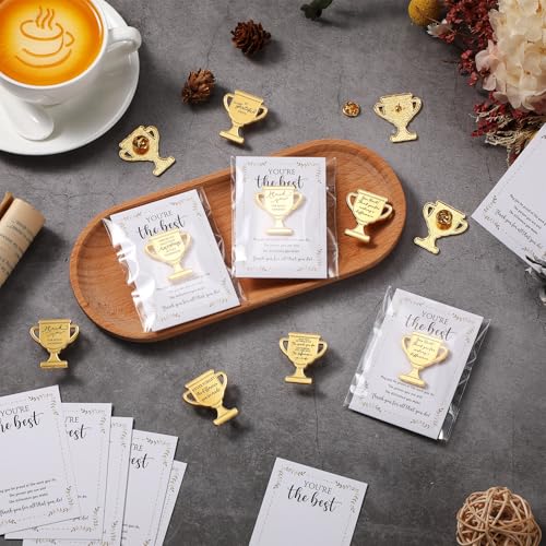 60 Sets Employee Appreciation Gifts Bulk, Trophy Pins,10 Styles - style: 10 Styles
