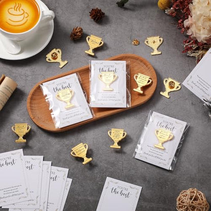 60 Sets Employee Appreciation Gifts Bulk, Trophy Pins,10 Styles - style: 10 Styles