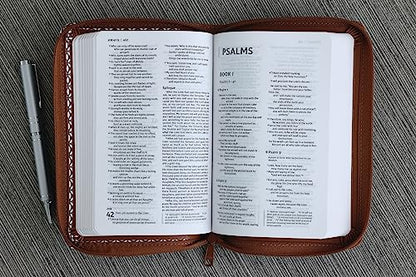 NIV, Thinline Bible, Compact, Leathersoft, Brown/White, Zippered, Red Letter, Comfort Print