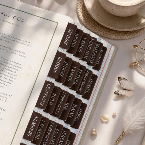 UPAFEXXI-Laminated Bible Tabs with Book Summaries, Bible Study Supplies - color: Summaries Brown2