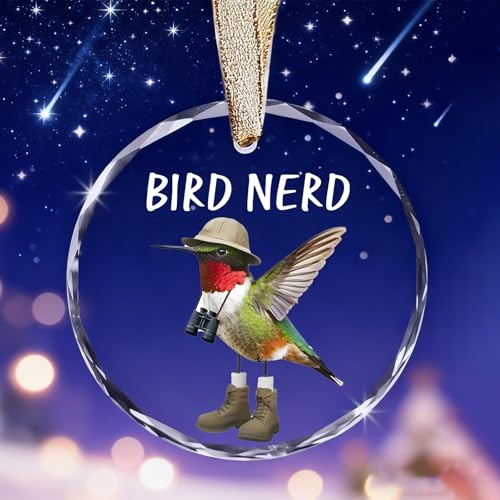 Funny Bird Watching Gifts - Hummingbird Sun Catchers Indoor Window, Humming Bird Suncatchers for Windows Hanging, Unique Cool Briding Gift for Mothers Day, House Warming Gifts New Apartment - color: Blgs013