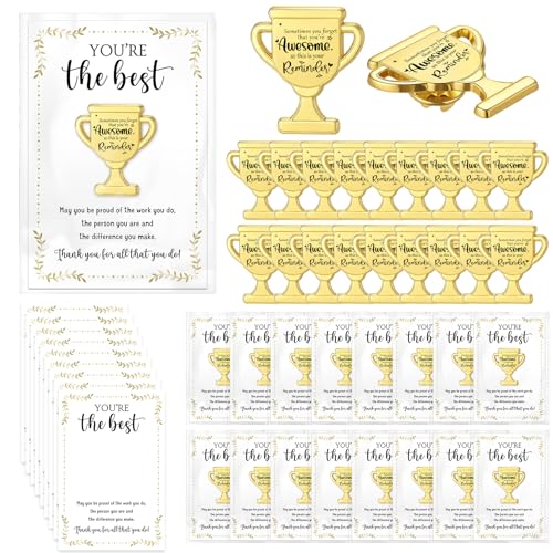 60 Sets Employee Appreciation Gifts Bulk, Trophy Pins,Awesome - style: Awesome