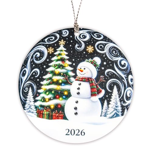 Snowman Ornaments, Christmas Ornaments 2026 with Cute Winter Snowman Design, Funny Christmas Ornaments for Holiday Tree Decor, Snowman Gifts for Family, Friends, Coworkers, Winter Home Decoration - color: Cute Snowman