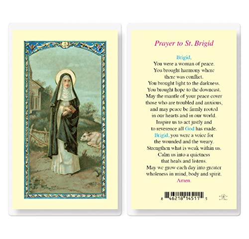 Generic St. Brigid Laminated Holy Cards, 25-Count Value Pack