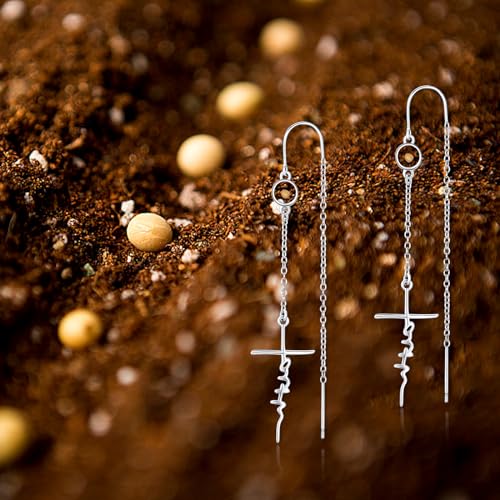 PRAYMOS Cross Earring for Women Dangle 925 Sterling Silver Mustard Seed Earrings Hypoallergenic Christian Religious Faith of a Mustard Seed Jewelry Gifts