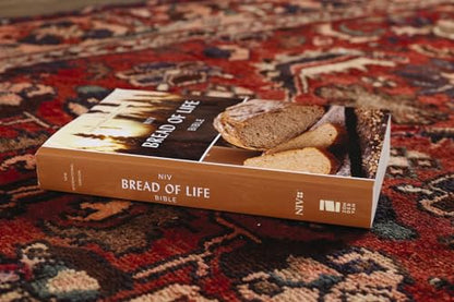 NIV, Bread of Life Outreach Bible, Paperback