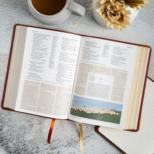 CSB Study Bible, Personal Size, Digital Study Edition, Burnt Sienna LeatherTouch, Red Letter, Study Notes and Commentary, Illustrations, Articles, Word Studies, Outlines, Timelines