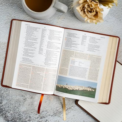 CSB Study Bible, Personal Size, Digital Study Edition, Burnt Sienna LeatherTouch, Red Letter, Study Notes and Commentary, Illustrations, Articles, Word Studies, Outlines, Timelines