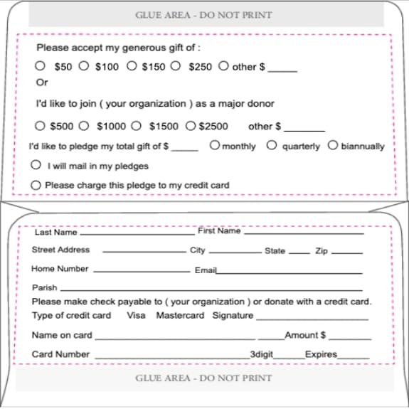 Printlink - Custom Fund Raising Envelopes, Full Color Printing Front and Back, 3 5/8" x 6 1/2" folded, 24lb White Wove Paper, 500 per box, Printed in the USA - size: Standard Business Envelope