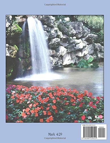 Little Children's Bible Lessons Year 1 Quarter 2