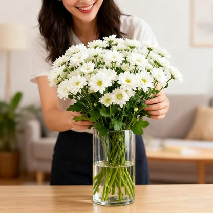 12pcs Thick Glass Cylinder Vase, 6 Inch Clear Glass Flower Vases - size: Smooth-12PCS
