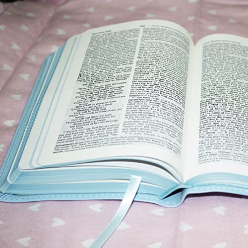 ICB, Really Woolly Holy Bible for Toddlers, Pink Leathersoft: International Children's Bible – Helping Little Hearts Grow in God's Love