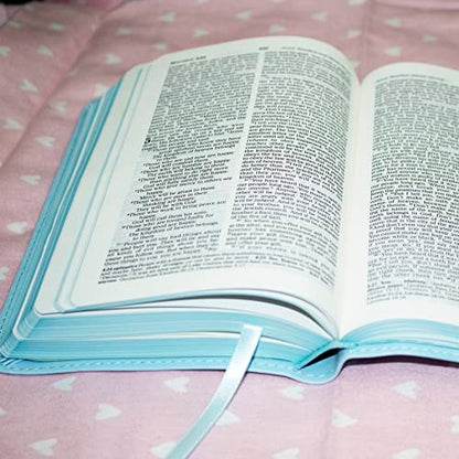 ICB, Really Woolly Holy Bible for Toddlers, Pink Leathersoft: International Children's Bible – Helping Little Hearts Grow in God's Love