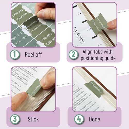 Mr. Pen- Bible Tabs, 75 Tabs, Frozen Lake Theme - color: Frozen Lake