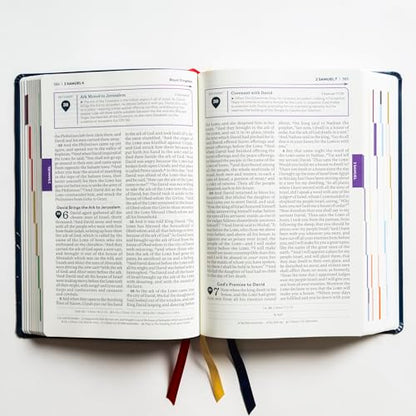 The Great Adventure Catholic Bible, Second Edition (Large Print)