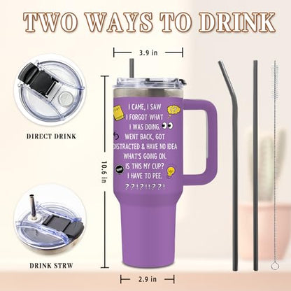 DUUV Humorous Quote Tumbler 40oz, Insulated Birthday Gifts for Old People - color: I Came
