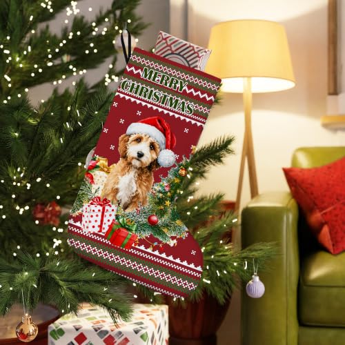 Cockapoo Dog Red and Green Christmas Stockings 16 Inch - color: Christmas21