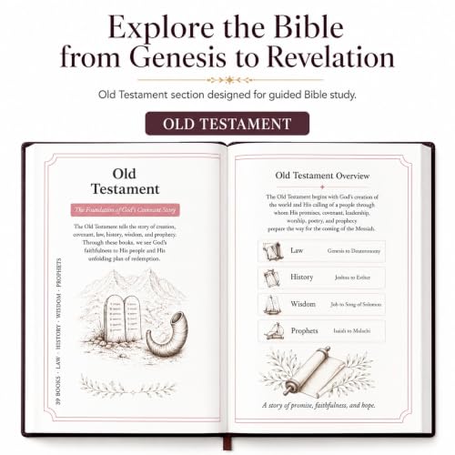 66-Page Bible Study Guides and Devotional Journal with Daily Scripture Quotes, Prayer Prompts, Cross-References, and Reflection Guides - A Comprehensive Year-Long Plan and Christian Gift