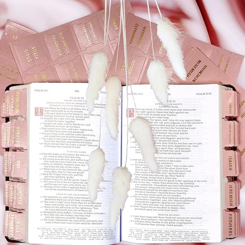 Bible Tabs for Women & Men Pink – 80 Gold Foil (66+14 Blank) - color: Pink