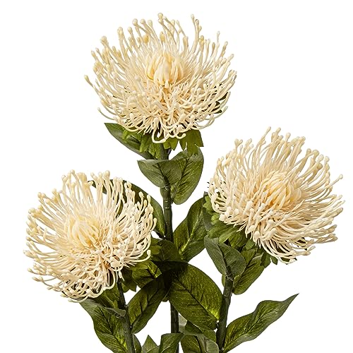 Hollyone 3 Pcs White Artificial Spider Mum 28.3'' Long Stem Fake Chrysanthemum Flowers Leucospermum Cordifolium Arrangement Faux Pincushion Flowers Office Table Bouquet Home Decor - color: White