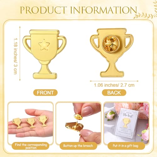 60 Sets Employee Appreciation Gifts Bulk, Trophy Pins,Star - style: Star