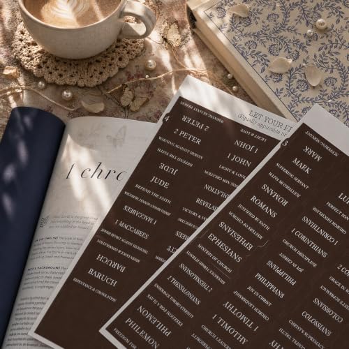 UPAFEXXI-Laminated Bible Tabs with Book Summaries, Bible Study Supplies - color: Summaries Brown2