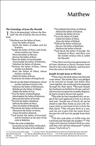 NIV, Outreach New Testament, Large Print, Paperback