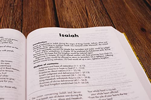 NIV, Textbook Bible for Students, Hardcover, Crinkled Paper with Doodles Design: Great for Christian Education at Home and School
