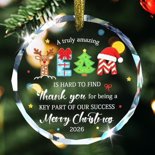 Christmas Team Gifts for Employees 2026, Best Team Glass Ornaments - style: Team