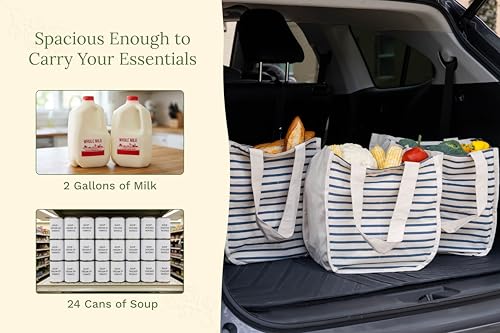 Best Canvas Grocery Shopping Bags - Cloth Grocery Tote Bags - Reusable Cotton Grocery Tote Bags with Bottle Sleeves - color: Blue Stripes
