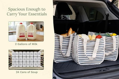 Best Canvas Grocery Shopping Bags - Cloth Grocery Tote Bags - Reusable Cotton Grocery Tote Bags with Bottle Sleeves - color: Blue Stripes