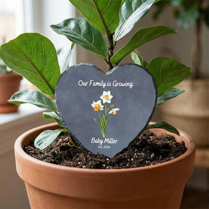 Personalized Promoted to Grandma Pregnancy Announcement Heart Stone Custom Baby Reveal Slate Plaque Keepsake Gift for Nana and Mimi Gifts (S-208) - color: S-208