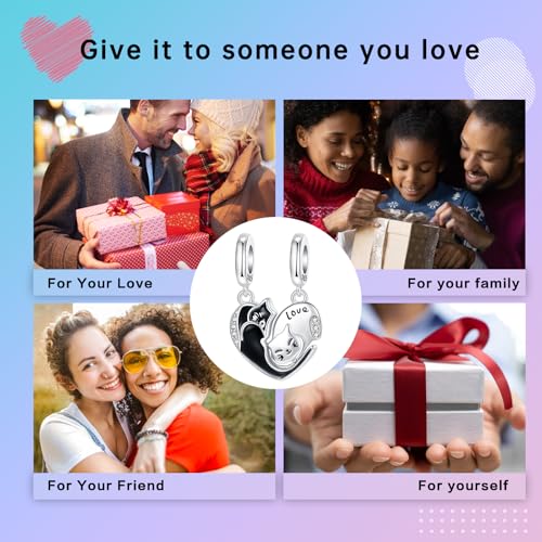 LUXILLA 925 Sterling Silver Charm Golden Family Tree Sparkling Cross Cute Dragon Charms Fits Bracelets Necklace Pendant Bead Jewelry Gift for Women Family Friends - color: Couple Cat Charm