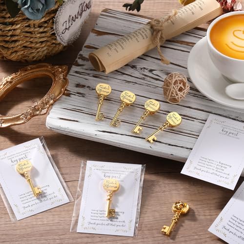 Appreciation Gifts Bulk Key Shape Lapel Pins, 60 Sets, Difference - style: Difference