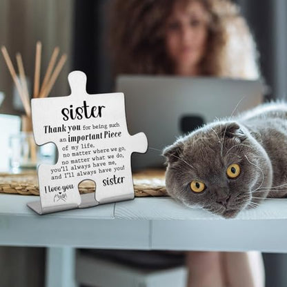 FOKCBOCM Decorative Signage - Stainless Steel Sister Gift, 3.3 x 3.0 inches, Funny Office Desk Decor, Thank You Present for Women Friend - style: Sister