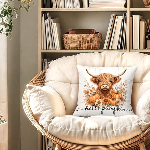 Hello Pumpkin Fall Highland Cow Floral Throw Pillow Covers 18x18 - color: Cow