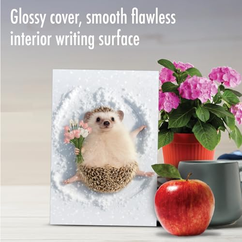 NobleWorks Funny Get Well Greeting Card with 5 x 7 Inch Envelope (1 Card) Critter Snow Angel - Hedgehog C4187CGWG - style: Critter Snow Angel - Hedgehog