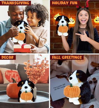DolliBu Super Soft Bernese Mountain Dog Stuffed Animal with Pumpkin Decor - Pumpkin Plush Animal for Fall, Halloween and Thanksgiving, Pumpkin Toy for Baby, Kids, Adults - 8 Inches