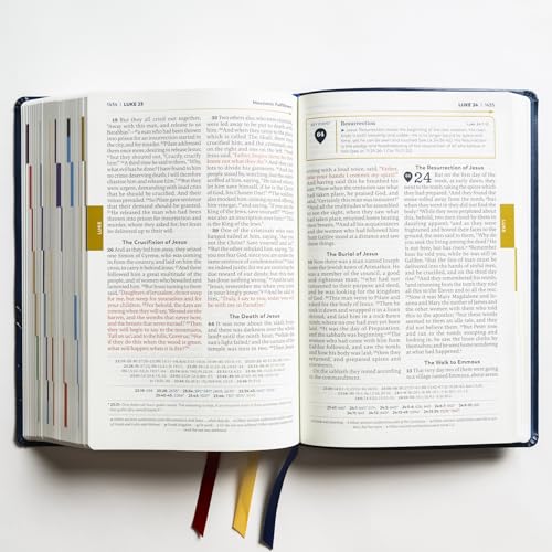 The Great Adventure Catholic Bible, Second Edition (Large Print)