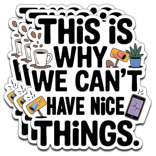 (3PCS) This is Why We Can't Have Nice Things Vinyl Sticker Pack Durable Waterproof Stickers for Laptop Water Bottle Car Bumper Phone Case - color: This is Why We Can't Have Nice Things