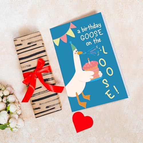 Chenive Funny Silly Goose Birthday Card for Men Women, Cute Birthday Card for Friends Family Kids and Goose Lover, Hilarious Bday Gifts for Daughter Son Sister Brother - color: Silly Goose Birthday