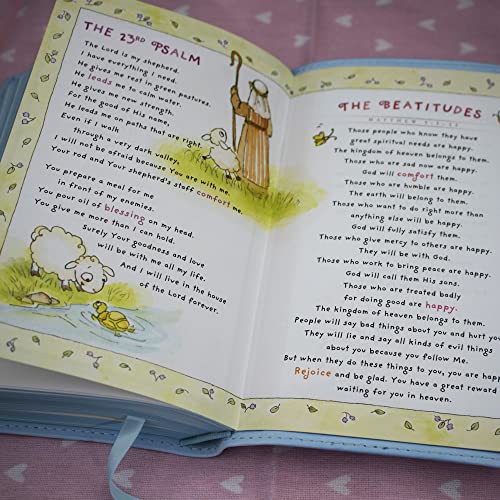 ICB, Really Woolly Holy Bible for Toddlers, Pink Leathersoft: International Children's Bible – Helping Little Hearts Grow in God's Love