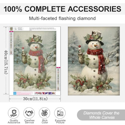 Christmas Diamond Art Kits for Adults, Diamond Painting Kits for Beginner - color: DP05651