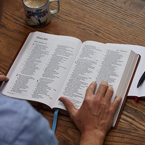 NET Bible, Thinline Large Print, Genuine Leather, Black, Comfort Print: Holy Bible