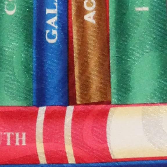 Books of the Bible Ties Mens Religious Necktie Christian Tie Chuck Neckties