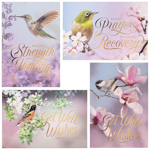 Mardel Three Roses, Birds & Flowers Get Well Boxed Cards, 12 Cards & Envelopes