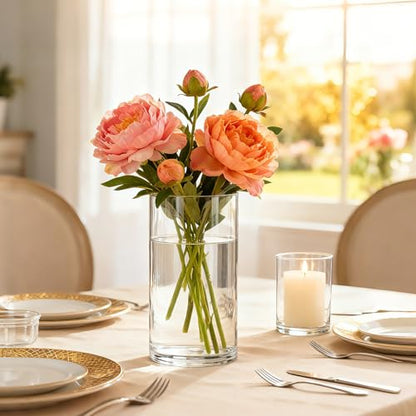 12pcs Thick Glass Cylinder Vase, 6 Inch Clear Glass Flower Vases - size: Smooth-12PCS