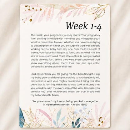 Devotional Pregnancy Prayer Cards & Baby Milestones, 1st Trimester Gift - color: Elegant Set with Discs