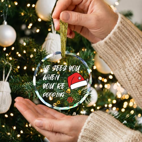 Funny Christmas Bathroom Glass Hanging Ornament Sign - style: Santa Hat
