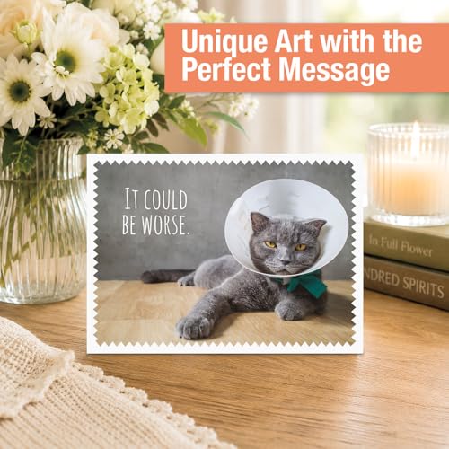 Current Get Well Greeting Card Set - color: Furry Friends
